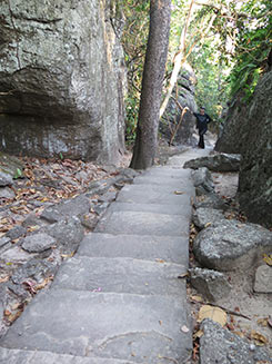 IMG_JAN-(41)