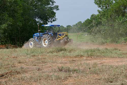 IMG_JUL19-32