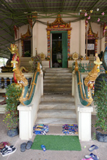IMG_MA19-45