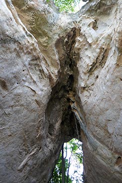 IMG_NO18-60