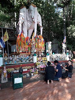 IMG_OKT19-118