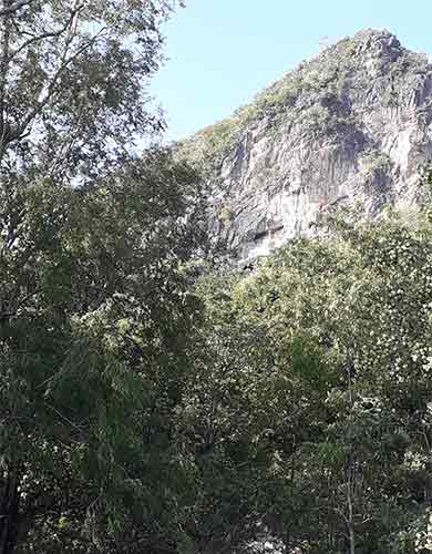 IMG_OKT19-119