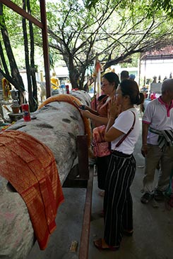 IMG_OKT19-71