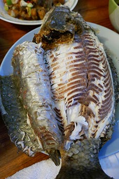 IMG_OKT19-85